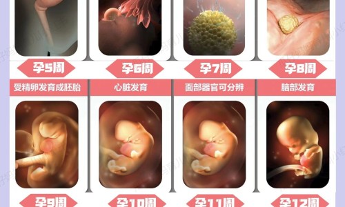 怀孕不适合拉头发吗-怀孕期间为什么不能拉直头发专区_孕期能拉直头发吗专区_怀孕期间不能拉直头发网